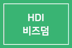 4050 CEO를 위한 HDI 비즈덤을 소개합니다
