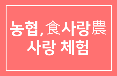 농협, 봄바람 따라 나서는 食사랑農사랑 체험 실시